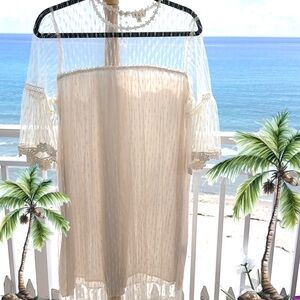 Elegant POL Sheer Cream Lace Dress